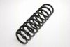 TRISCAN 8750 1031 Coil Spring